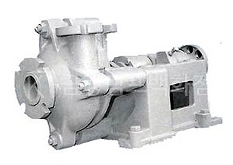 RUBBER SAND PUMP