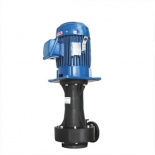 Sealless pump